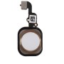 Home Key Fingerprint Flex iPhone 6s Gold