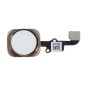 Κεντρικό Πλήκτρο Home Button iPhone 6 Plus Gold