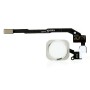 Κεντρικό Πλήκτρο Home Button Flex iPhone 5s White